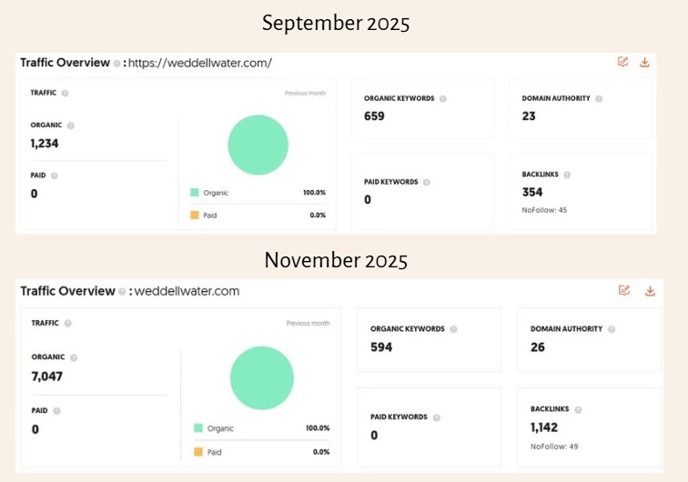 seo increase results